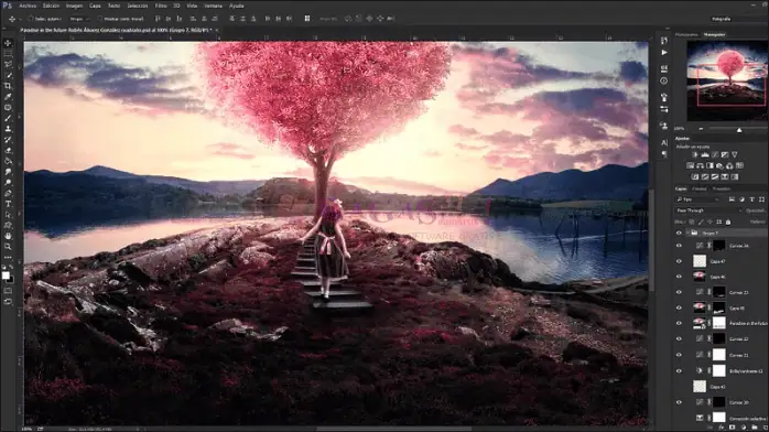 Adobe Photoshop CC 2015-3