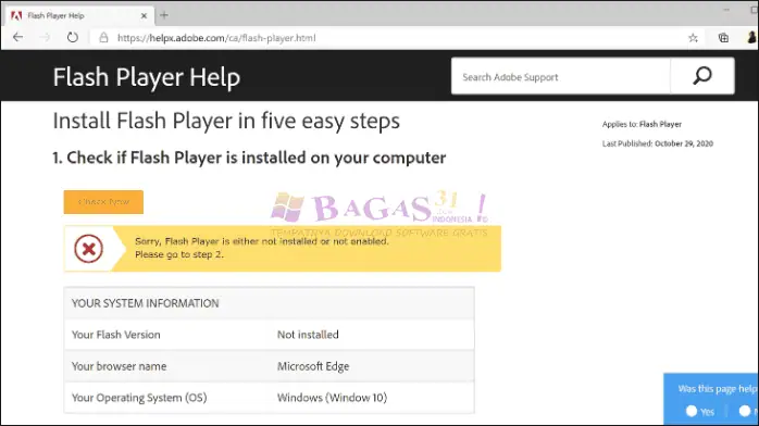 adobe flash player-3