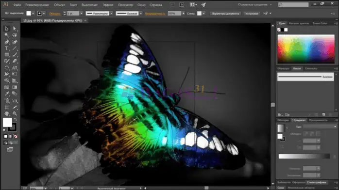 adobe illustrator 2020-3