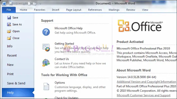 microsoft office 2010-1