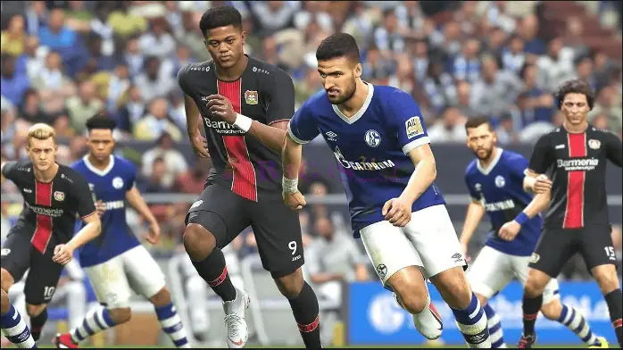 pes 2019-2