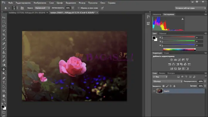photoshop cc 2017-3
