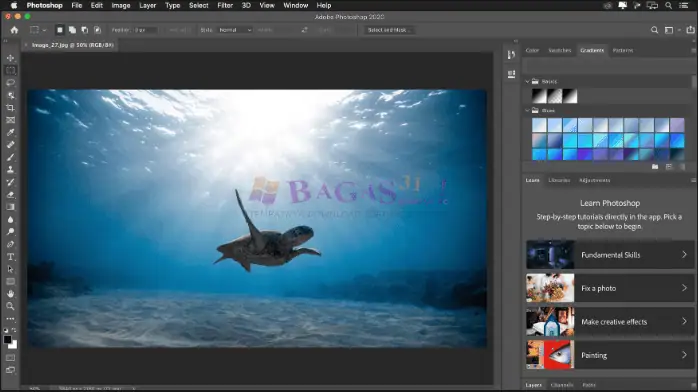 photoshop cc 2020-2
