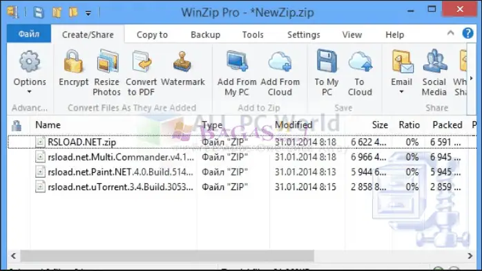 winzip pro-2