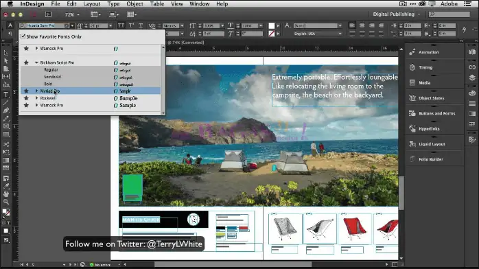adobe indesign-1