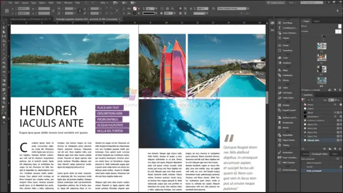 adobe indesign-2