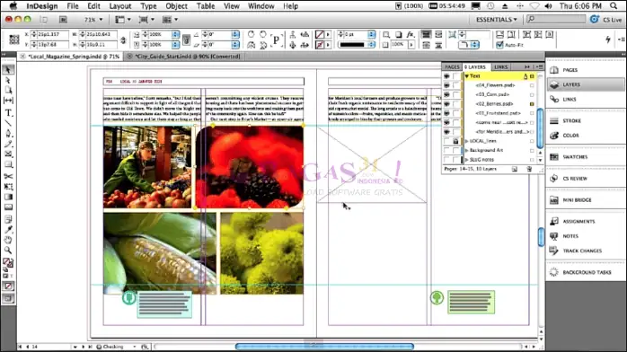 adobe indesign-3