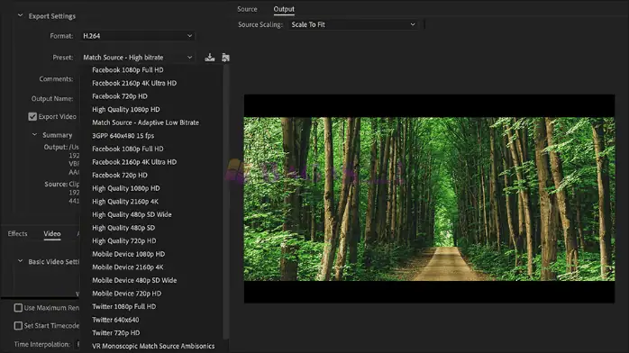 adobe media encoder-3