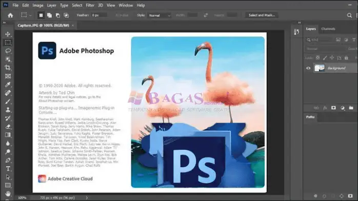adobe photoshop 2021-1