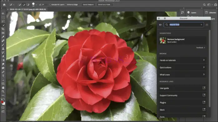 adobe photoshop 2021-3
