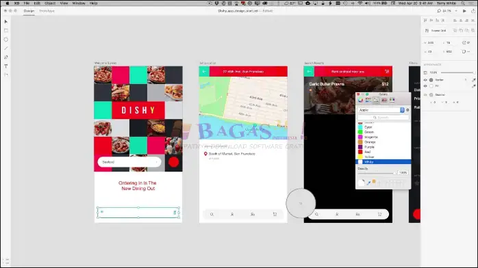 adobe xd-1