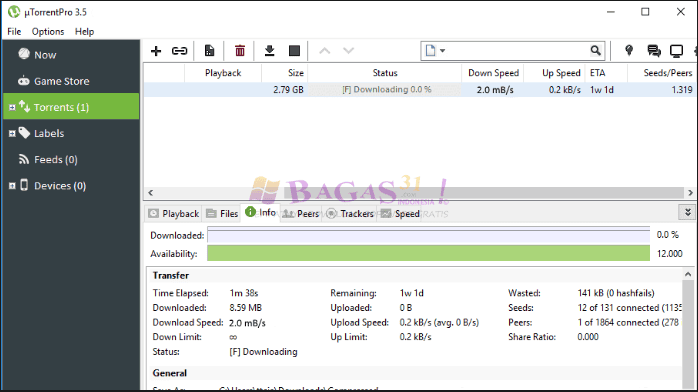 uTorrent Pro-2