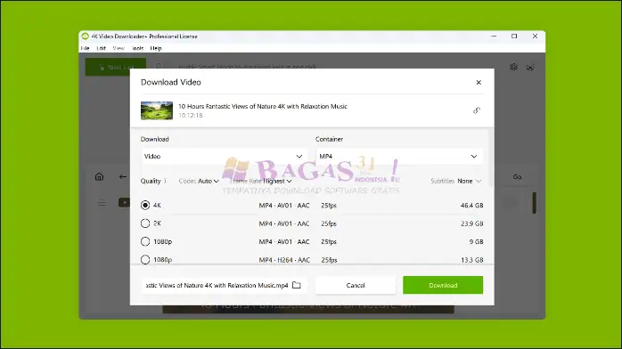 4k video downloader-1