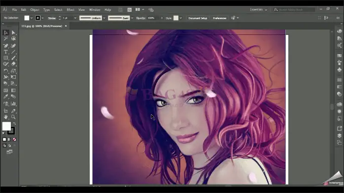 Adobe Illustrator CC 2018-3