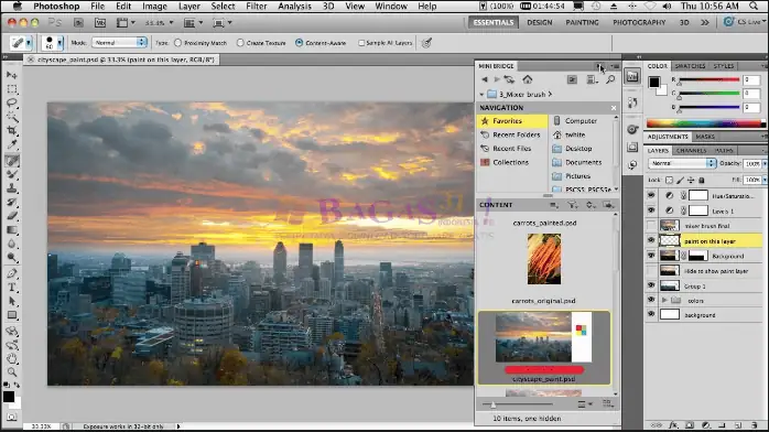 Adobe Photoshop CS5-2