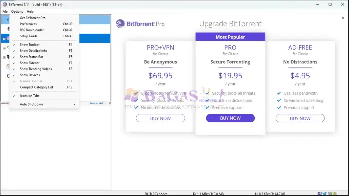 BitTorrent Pro-1
