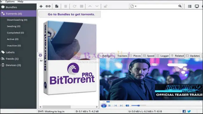 BitTorrent Pro-2