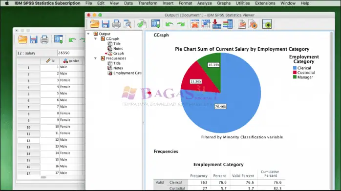 IBM SPSS Statistics-2