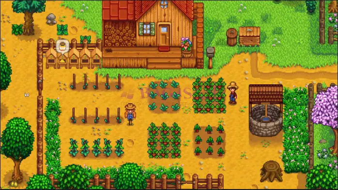 Stardew Valley-2