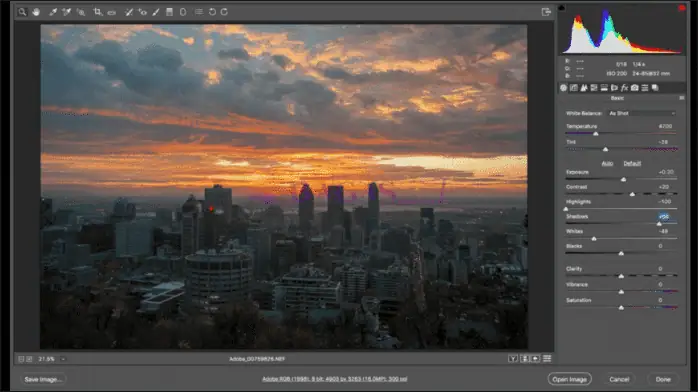 adobe camera raw-3
